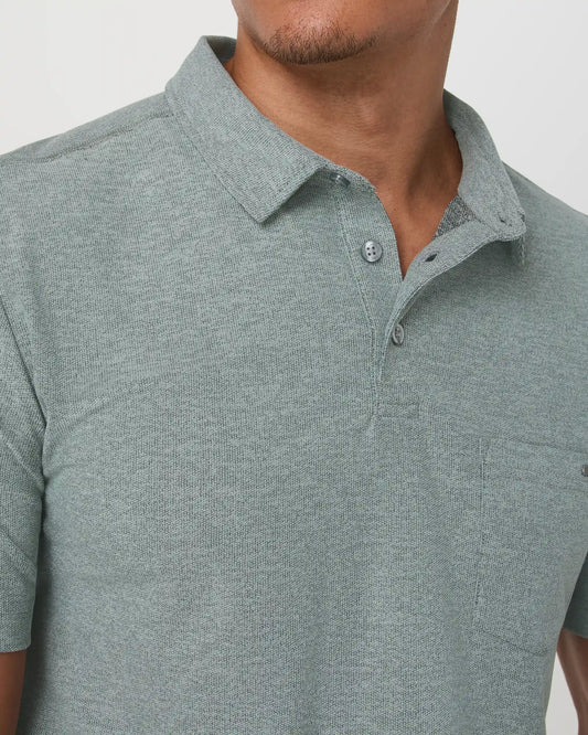 Ace Polo